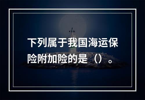 下列属于我国海运保险附加险的是（）。