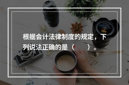 根据会计法律制度的规定，下列说法正确的是（　　）。