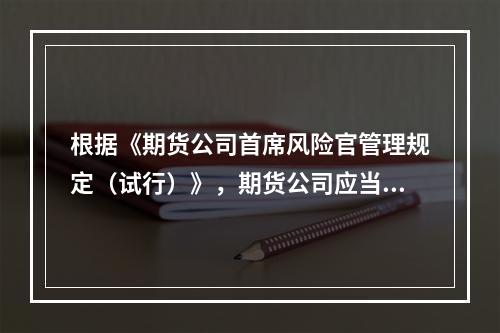 根据《期货公司首席风险官管理规定（试行）》，期货公司应当（　