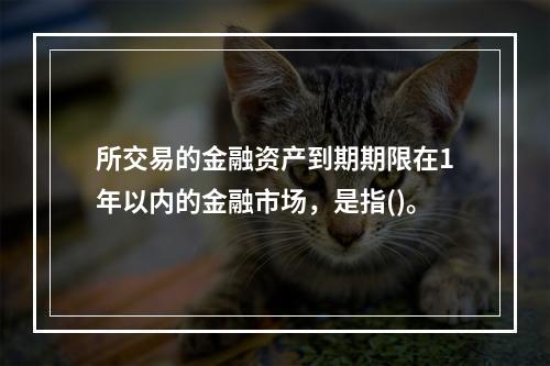 所交易的金融资产到期期限在1年以内的金融市场，是指()。