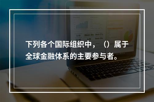 下列各个国际组织中，（）属于全球金融体系的主要参与者。