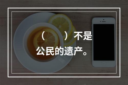 （　　）不是公民的遗产。