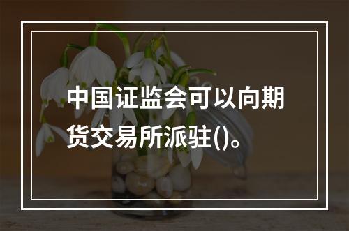 中国证监会可以向期货交易所派驻()。