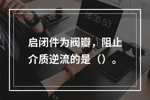 启闭件为阀瓣，阻止介质逆流的是（）。