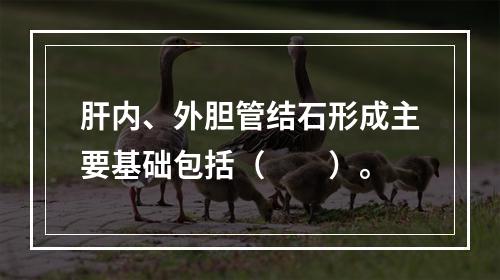 肝内、外胆管结石形成主要基础包括（　　）。