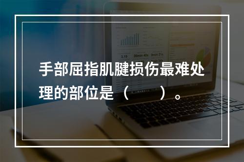 手部屈指肌腱损伤最难处理的部位是（　　）。