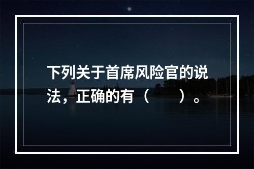 下列关于首席风险官的说法，正确的有（　　）。