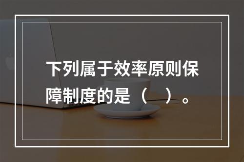 下列属于效率原则保障制度的是（　）。