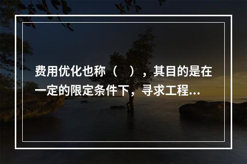 费用优化也称（　），其目的是在一定的限定条件下，寻求工程总成