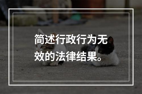 简述行政行为无效的法律结果。