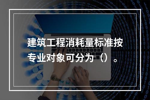 建筑工程消耗量标准按专业对象可分为（）。