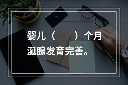 婴儿（　　）个月涎腺发育完善。