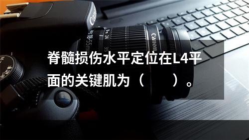 脊髓损伤水平定位在L4平面的关键肌为（　　）。