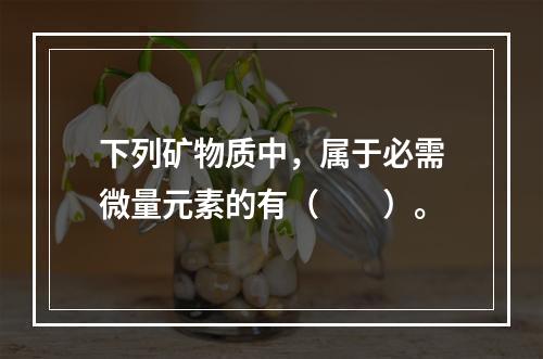 下列矿物质中，属于必需微量元素的有（　　）。