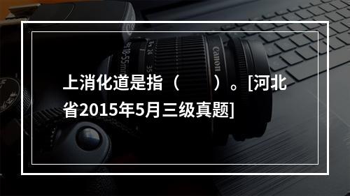 上消化道是指（　　）。[河北省2015年5月三级真题]