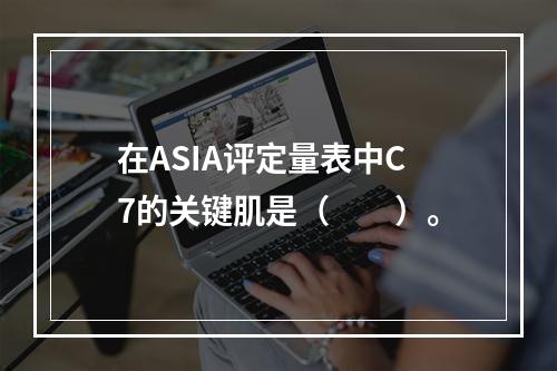 在ASIA评定量表中C7的关键肌是（　　）。