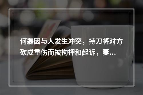 何磊因与人发生冲突，持刀将对方砍成重伤而被拘押和起诉，妻子两