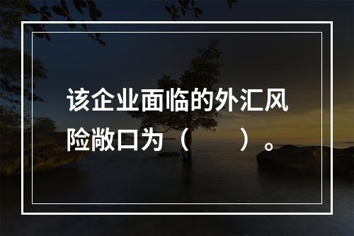 该企业面临的外汇风险敞口为（　　）。