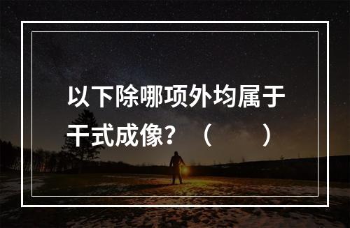 以下除哪项外均属于干式成像？（　　）