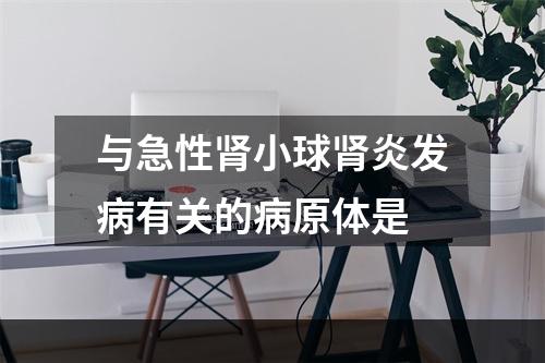 与急性肾小球肾炎发病有关的病原体是