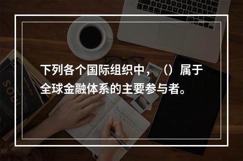 下列各个国际组织中，（）属于全球金融体系的主要参与者。