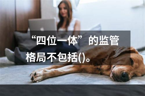 “四位一体”的监管格局不包括()。