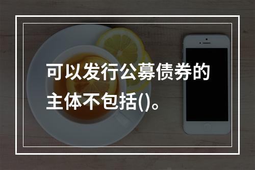 可以发行公募债券的主体不包括()。