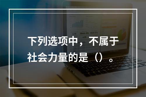 下列选项中，不属于社会力量的是（）。