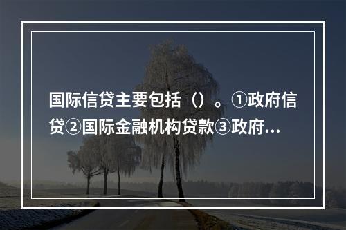 国际信贷主要包括（）。①政府信贷②国际金融机构贷款③政府债券