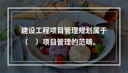 建设工程项目管理规划属于（　）项目管理的范畴。