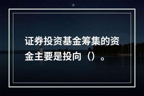 证券投资基金筹集的资金主要是投向（）。