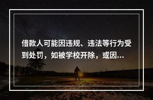 借款人可能因违规、违法等行为受到处罚，如被学校开除，或因学习