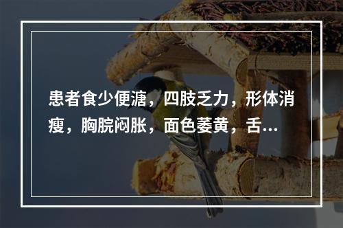 患者食少便溏，四肢乏力，形体消瘦，胸脘闷胀，面色萎黄，舌苔白