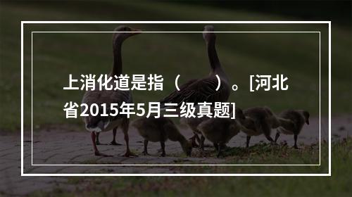 上消化道是指（　　）。[河北省2015年5月三级真题]