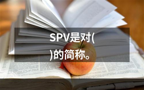 SPV是对()的简称。