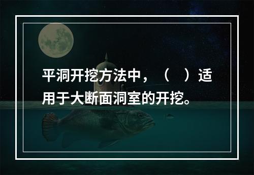 平洞开挖方法中，（　）适用于大断面洞室的开挖。