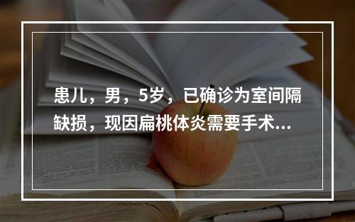 患儿，男，5岁，已确诊为室间隔缺损，现因扁桃体炎需要手术，医