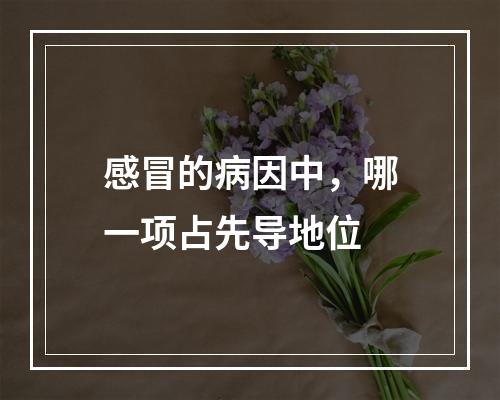 感冒的病因中，哪一项占先导地位