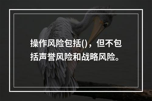 操作风险包括()，但不包括声誉风险和战略风险。