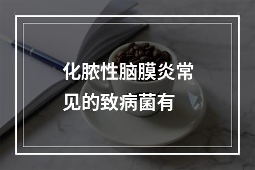 化脓性脑膜炎常见的致病菌有