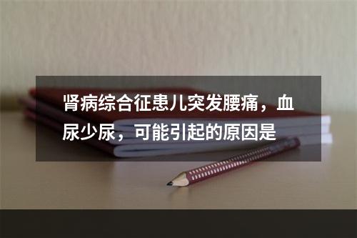 肾病综合征患儿突发腰痛，血尿少尿，可能引起的原因是