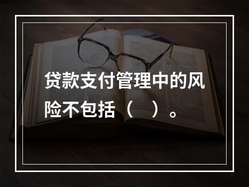 贷款支付管理中的风险不包括（　）。