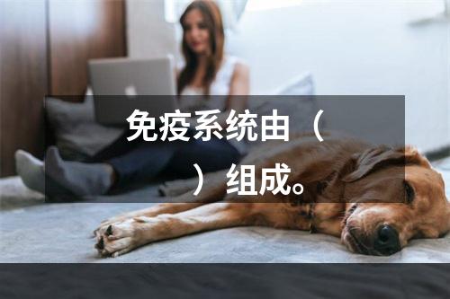 免疫系统由（　　）组成。