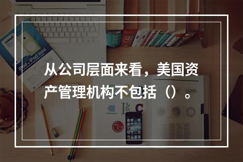 从公司层面来看，美国资产管理机构不包括（）。