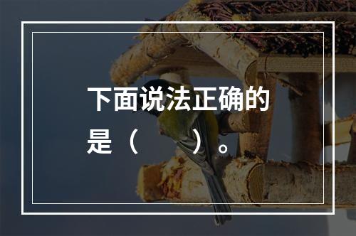 下面说法正确的是（　　）。