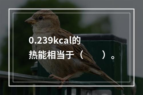 0.239kcal的热能相当于（　　）。