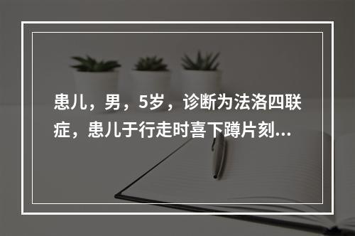 患儿，男，5岁，诊断为法洛四联症，患儿于行走时喜下蹲片刻再走