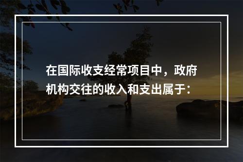 在国际收支经常项目中，政府机构交往的收入和支出属于：