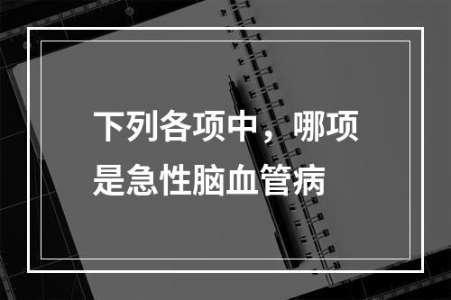 下列各项中，哪项是急性脑血管病