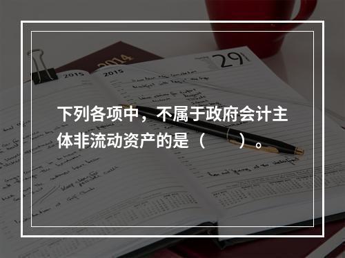 下列各项中，不属于政府会计主体非流动资产的是（　　）。